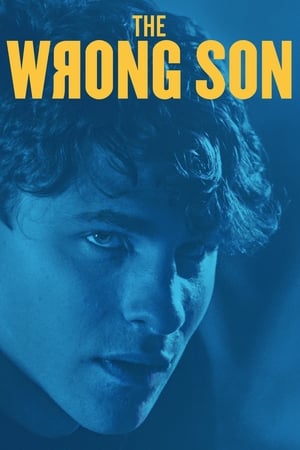 The Wrong Son 2018 BRRip