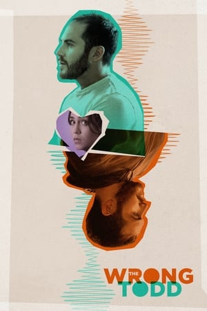The Wrong Todd 2018 BRRIp