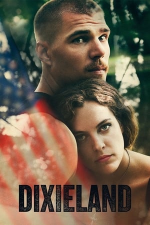 Dixieland 2015 BRRip