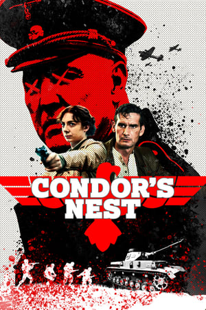 Condor's Nest 2023 BRRIP