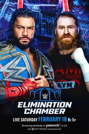 WWE Elimination Chamber 2023
