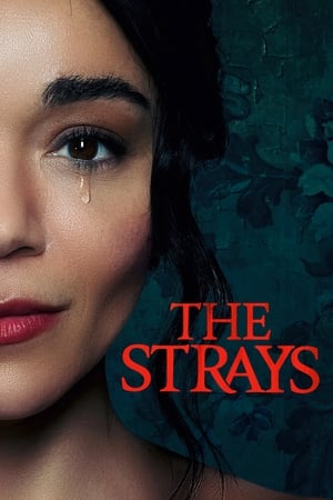 The Strays 2023 NF Dual Audio Hindi