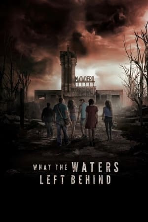 What the Waters Left Behind 2017 Dual Audio