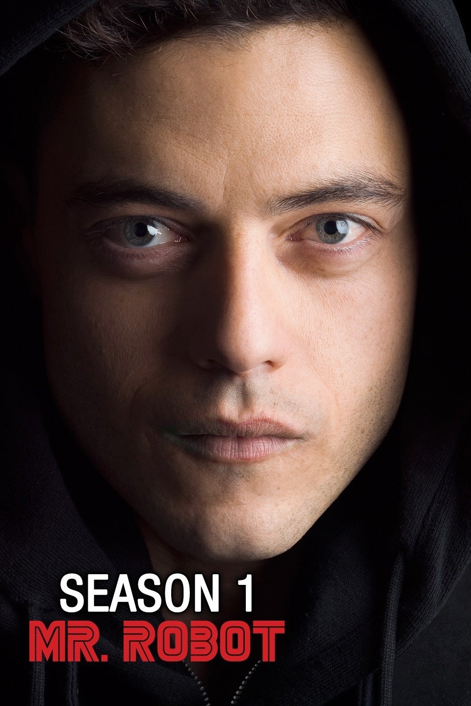 Mr. Robot Season 1 Dual Audio