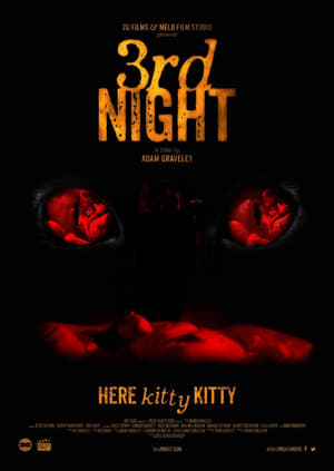 3rd Night (2017) Dual Audio Hindi