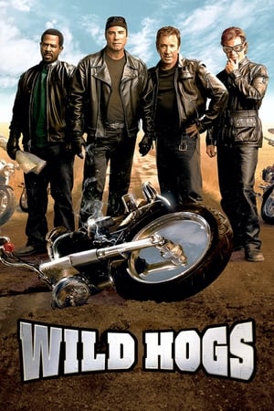 Wild Hogs 2007 Dual Audio