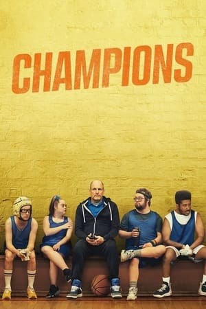 Champions 2023 BRRIp
