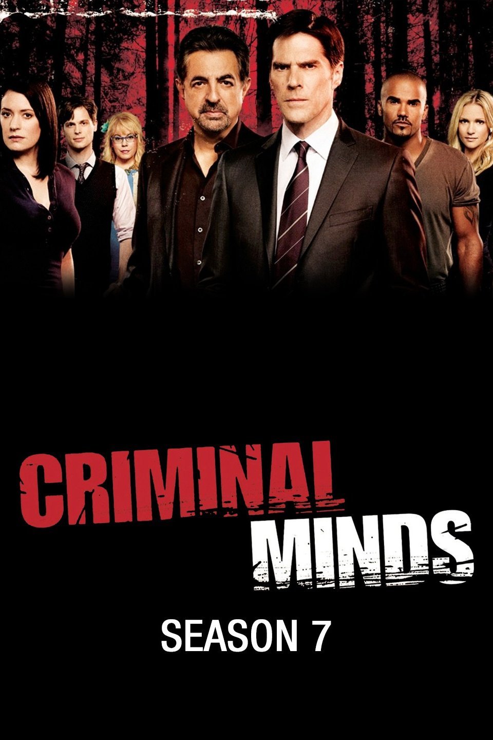 Criminal Minds Season 7