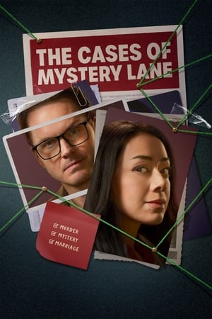 The Cases of Mystery Lane 2023 BRRip