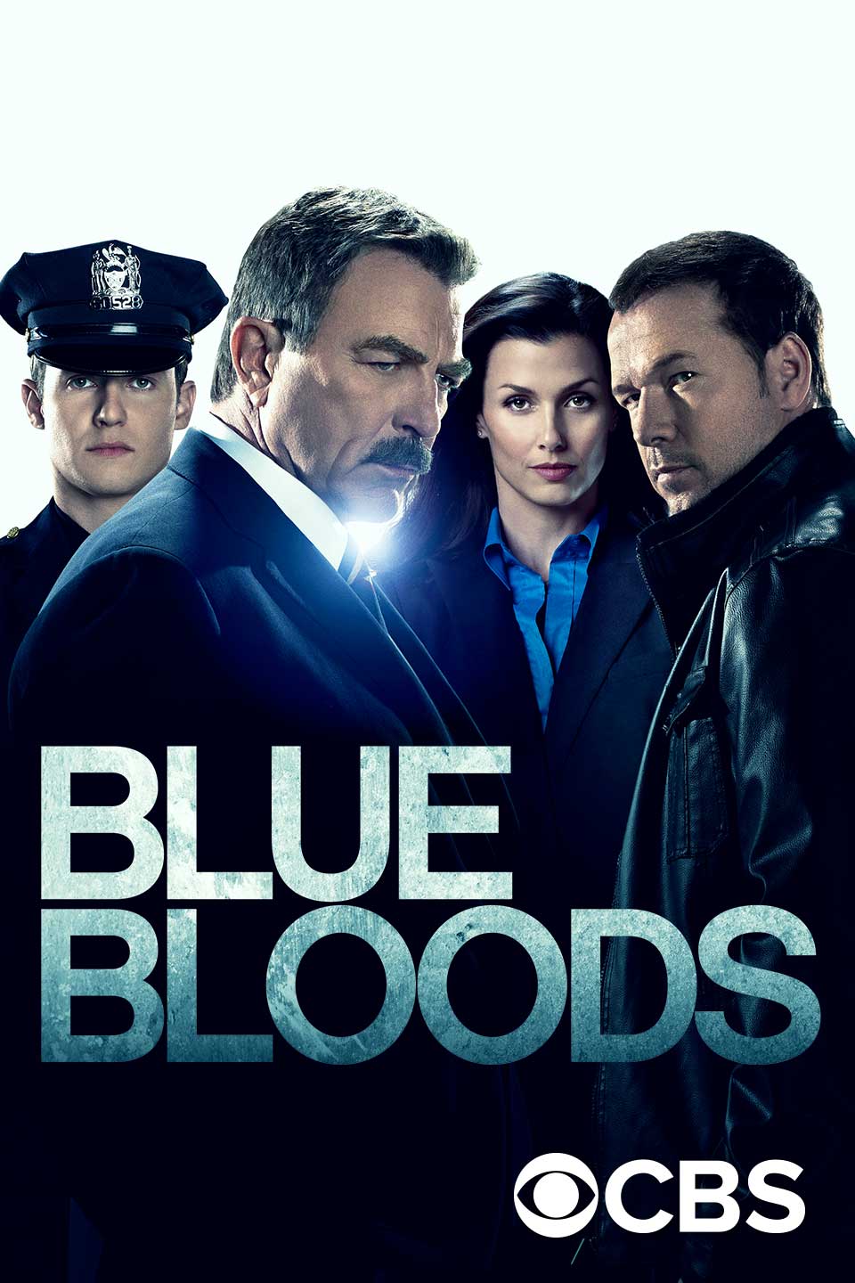 Blue Bloods Season 1