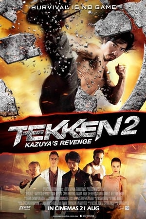 TEKKEN: A Man Called X 2014 BRRIp