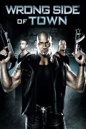 Wrong Side of Town 2010 Dual Audio
