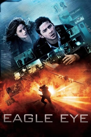 Eagle Eye 2008 Dual Audio