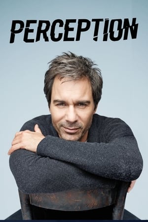 Perception Season 3