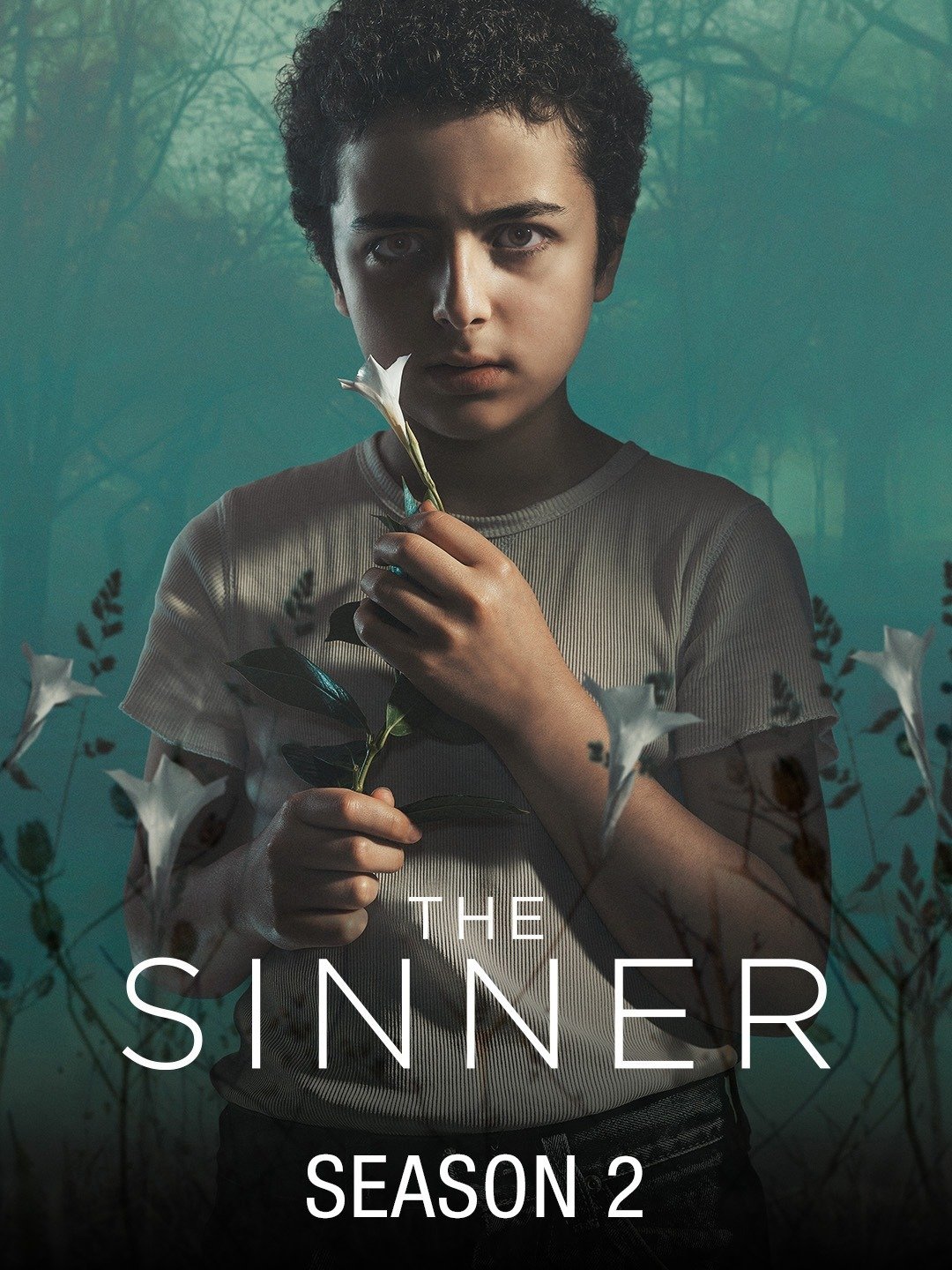 The Sinner Season 2 English