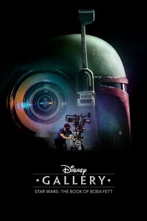 Disney Gallery / Star Wars: The Book of Boba Fett Sesaon 01 Dual Audio Hindi