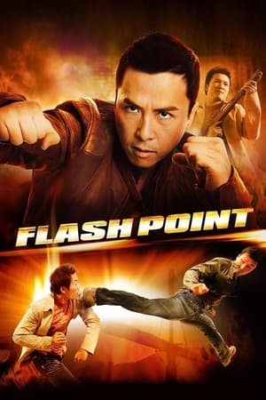 Flash Point 2007 DUAL AUDIO