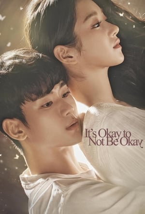Its Okay to Not Be Okay S01 2020 Hindi