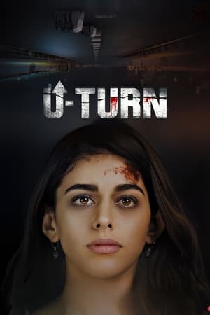 U-Turn 2023 BRRIp