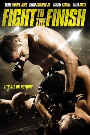 Fight to the Finish 2016 Dual Audio