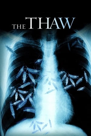 The Thaw aka Arctic Outbreak 2009 Dual Audio