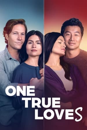 One True Loves 2023 BRRip