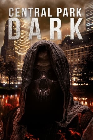 Central Park Dark 2021 BRRip Dual