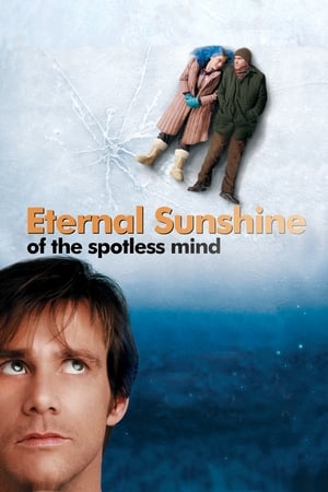 Eternal Sunshine of the Spotless Mind 2004 Dual Audio