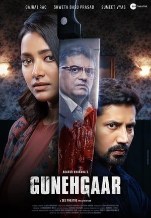 Gunehgaar 2022 BRRip