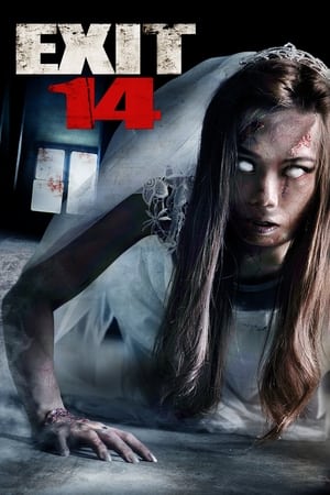 Exit 14 2016 Dual Audio