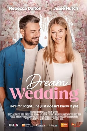 Dream Wedding 2023 BRRip