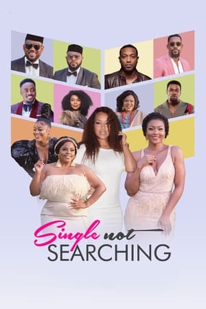 Single Not Searching 2022 HDRip