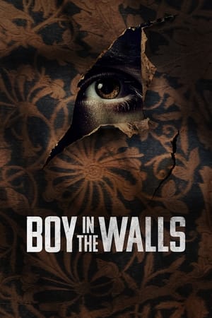 Boy in the Walls 2023 HDRip