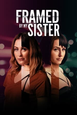 Framed by My Sister 2022 HDRip