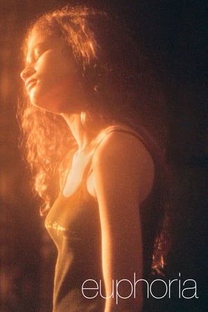 Euphoria US S02 720p English