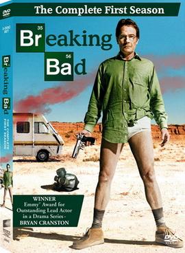 Breaking Bad S01 2008 Dual Audio