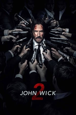 John Wick: Chapter 2 Dual Audio