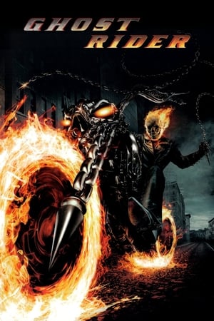 Ghost Rider 2007 Dual Audio