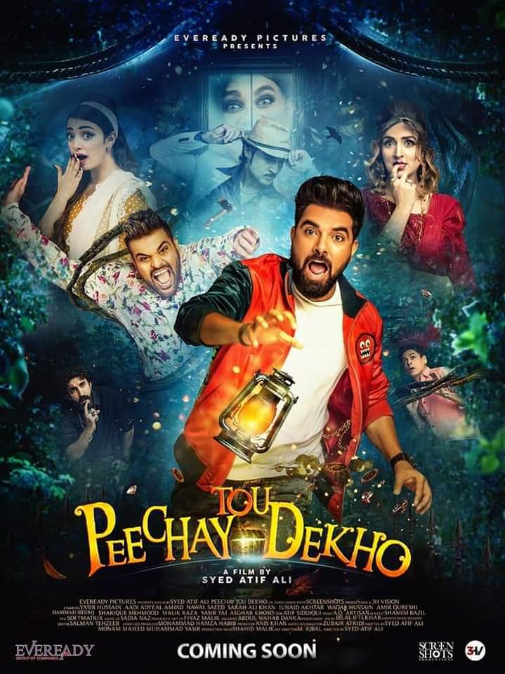 Peechay Tou Dekho 2020 Pre-DVDRip 
