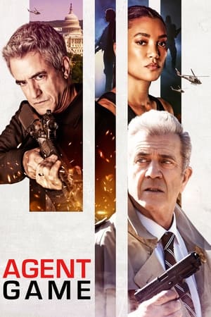 Agent Game 2022 BRRIP
