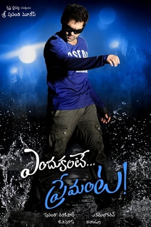 Endukante Premanta - Dangerous Khiladi 5 2012 Hindi