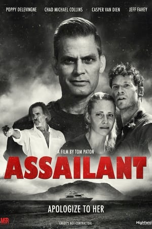 Assailant 2022 BRRip