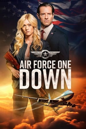 Air Force One Down 2024 HDRip