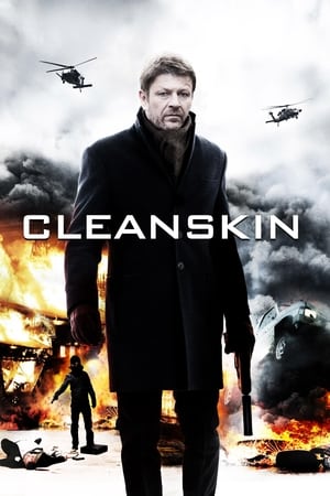 Cleanskin 2012 Dual Audio