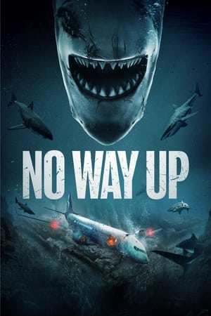 No Way Up 2024 HDRip
