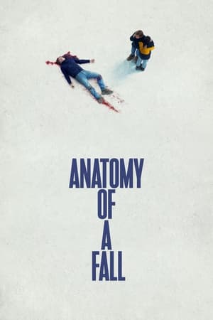 Anatomy of a Fall 2023 Dual Audio Hindi