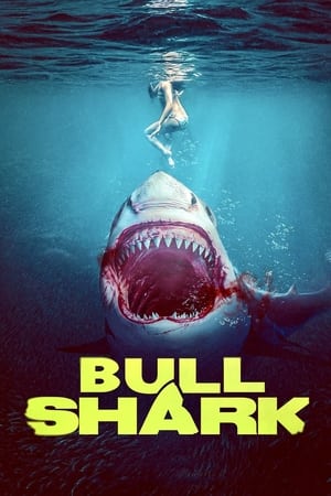Bull Shark 2022 BRRIP