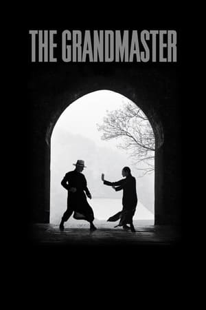 The Grandmaster 2013 Dual Audio