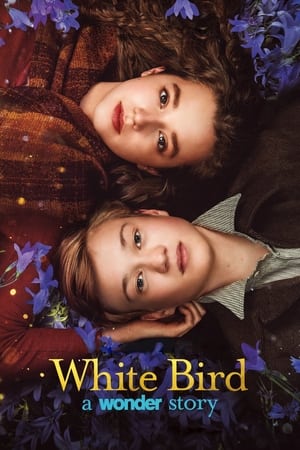 White Bird 2023 BRRip