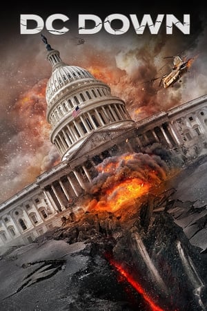 DC Down 2023 BRRip